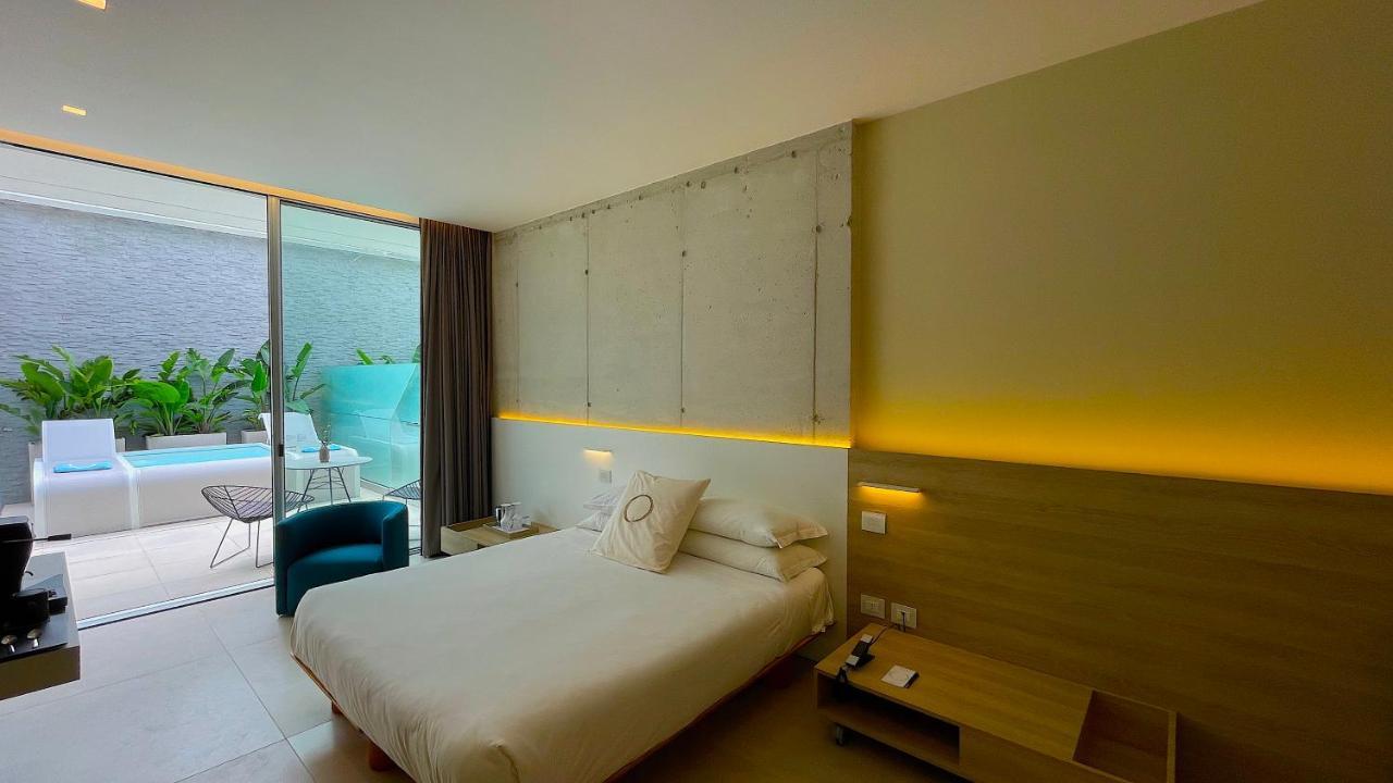 Deluxe Large Double Room with Mini Pool,1424095332:JPEG